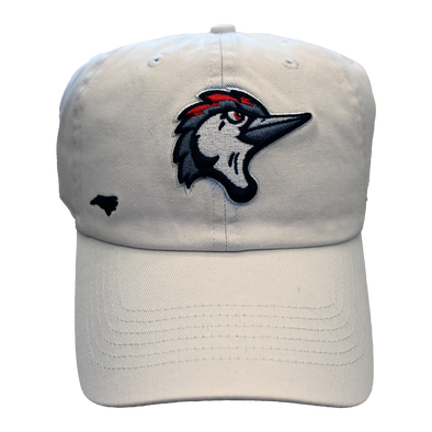 Fayetteville Woodpeckers Women's '47 Brand Confetti Icon Clean Up Cap