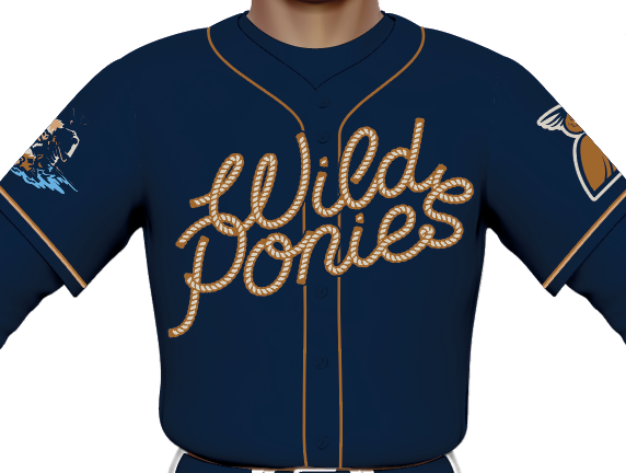 Delmarva Shorebirds Wilson Wild Ponies TNC Replica Jersey