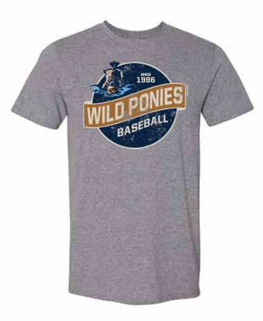 Delmarva Shorebirds 108 Stitches Wild Ponies Retro Tee