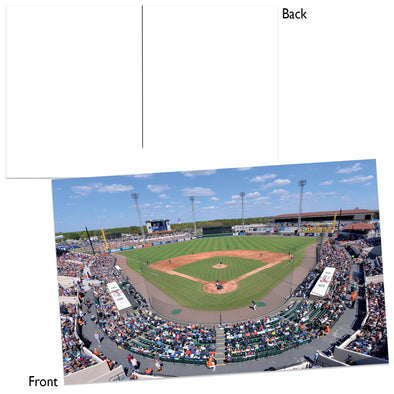 Detroit Tigers Wincraft Joker Marchant Stadium Postcard