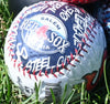 Novelty Baseball Bundle