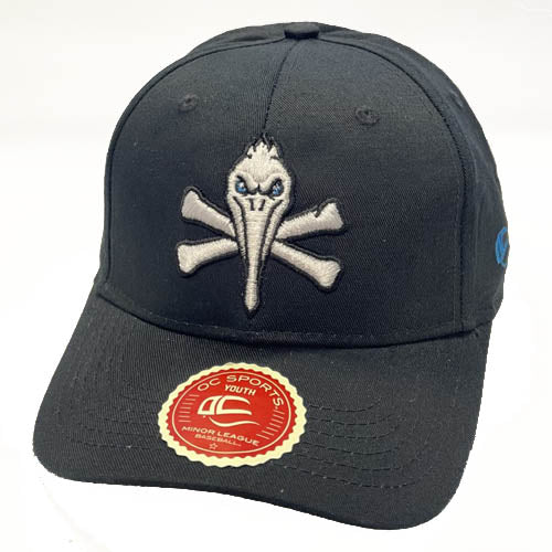 Myrtle Beach Pelicans Outdoor Cap Youth Black Pirate Replica Cap