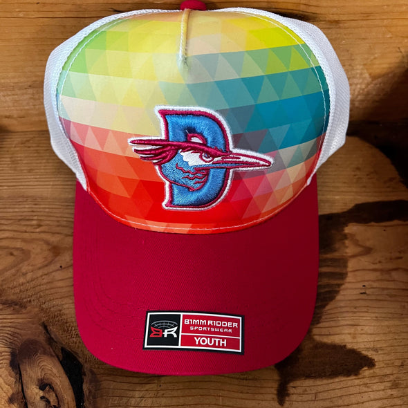 Delmarva Shorebirds Youth Segmented Cap