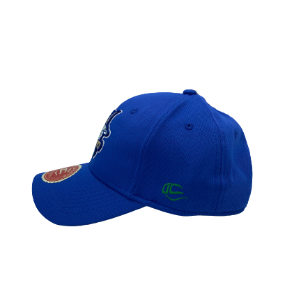 Hartford Yard Goats OC Sports Youth Royal Blue Adjustable Cap