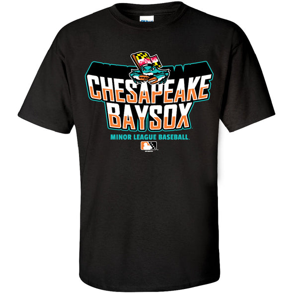 Chesapeake Baysox YOUTH Banjo BLACK