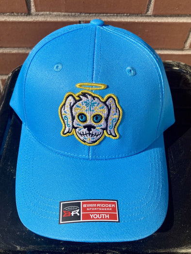 Charleston RiverDogs Youth Perros Santos Cap