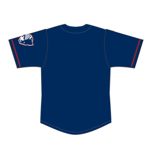 Somerset Patriots Youth Sublimated Road Navy Alternate  Retail Replica Jersey