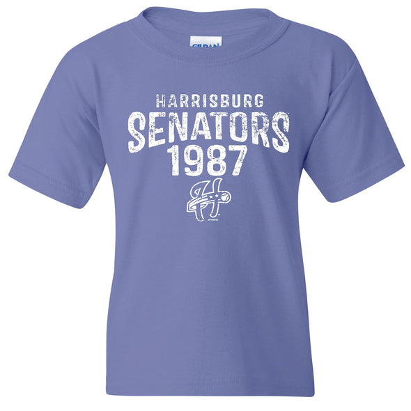 Harrisburg Senators Youth Purple Ainge Tee