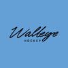 Toledo Walleye Ladies Light Blue Powerblend Crewneck