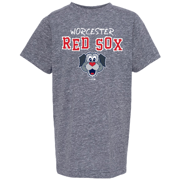 Worcester Red Sox Navy Melange Youth Beartooth Tee