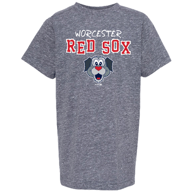 Worcester Red Sox Navy Melange Youth Beartooth Tee