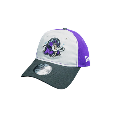 Erie SeaWolves NEC Moon Mammoths Tri-Color 9TWENTY Adjustable Cap