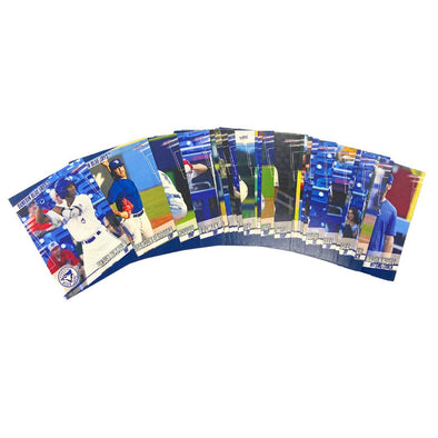 Dunedin Blue Jays 2024 Baseball Team Card Set