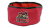 Modesto Nuts Travel Bowl