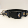 Charleston RiverDogs Adjustable Dog Collar