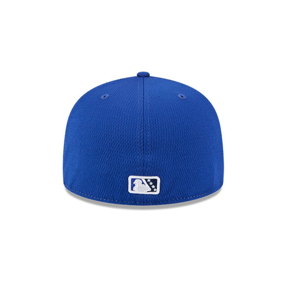 Dunedin Blue Jays Batting Practice 5950