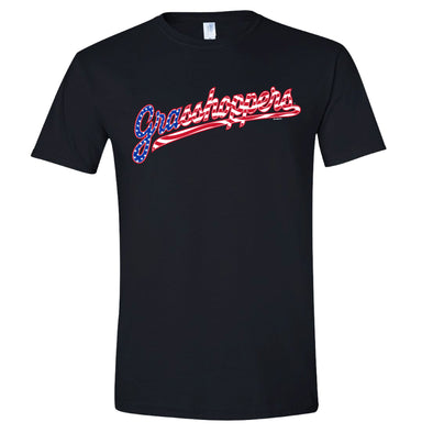Youth Black Patriotic Script Softstyle Tee