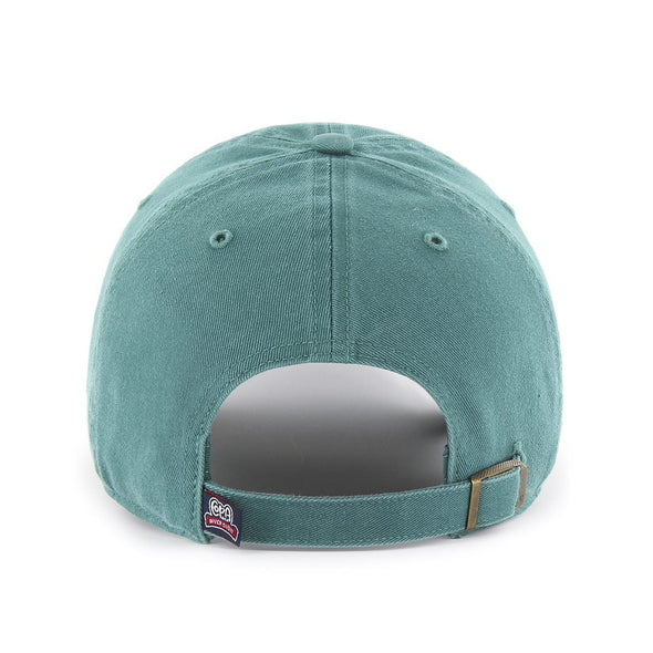 Albuquerque Isotopes Hat-Mariachis Clean Up Teal