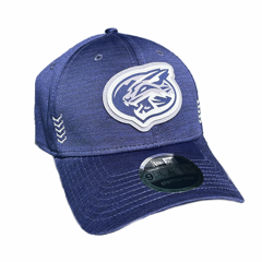 Blue curved brim hat