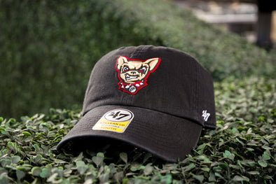 CHIHUAHUAS DOG HEAD '47 BRND CLEAN UP ADJUSTABLE HAT- YOUTH
