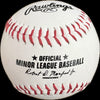 Salem Red Sox Logo Baseball