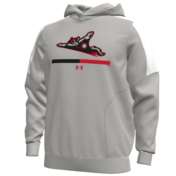 Richmond Flying Squirrels UA Tech Terry Hoodie