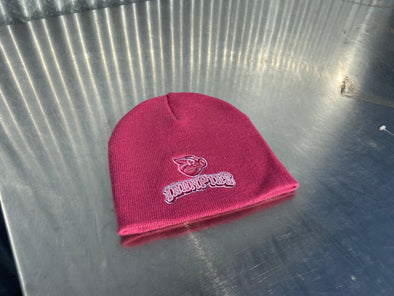 Lehigh Valley IronPigs GIRLS COULTER Knit Cap