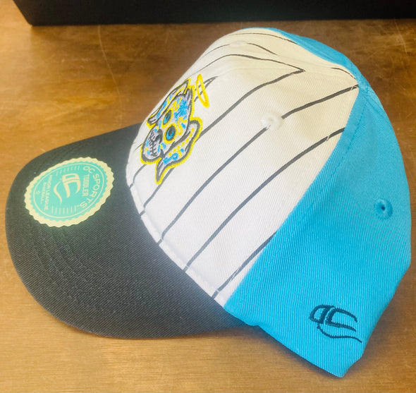 Charleston RiverDogs Toddler Perros Santos Striped Teal Cap