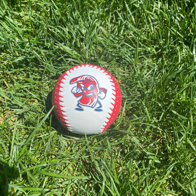 Lehigh Valley IronPigs FIGHTING BACON BALL