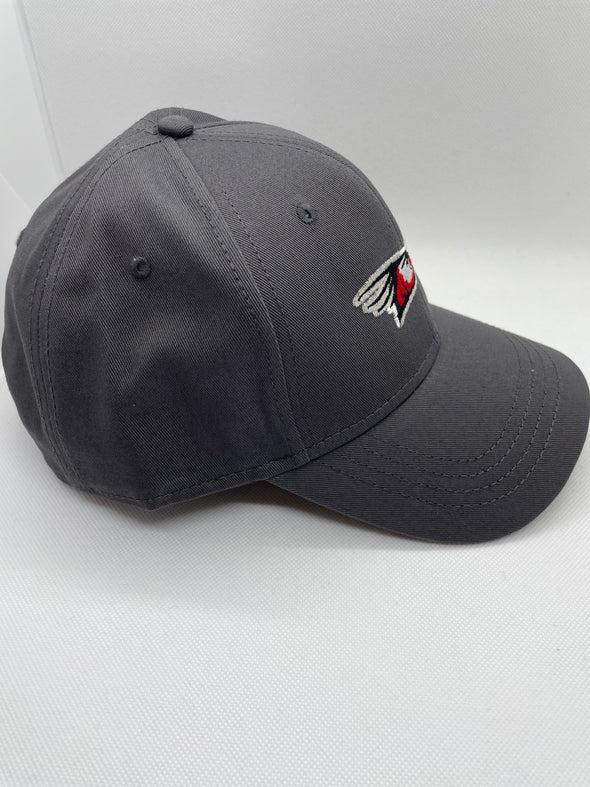 Delmarva Shorebirds Charcoal Primary Logo Adjustable Cap