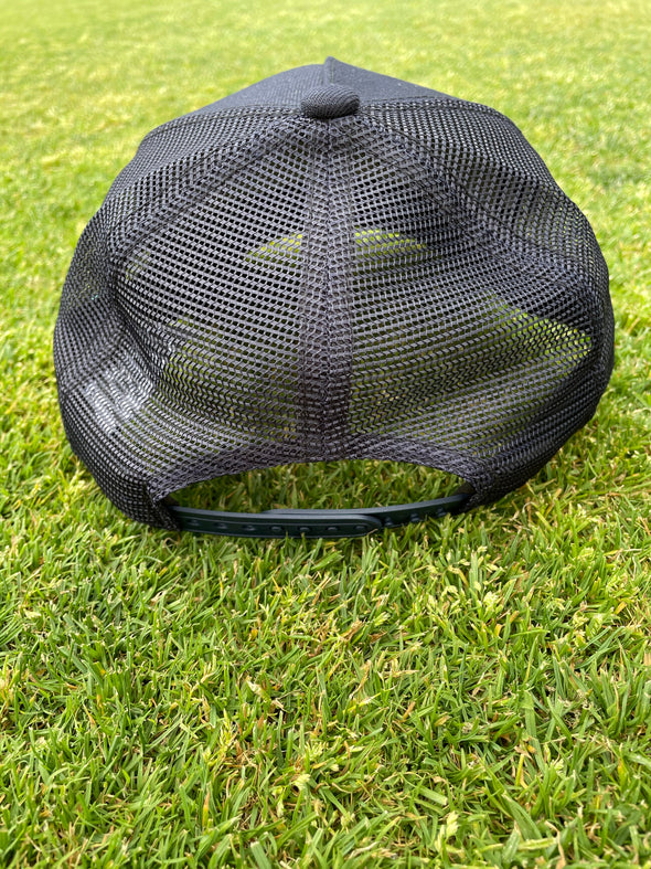 The Asheville Tourists Mountain Patch Hat