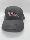 Delmarva Shorebirds Charcoal Primary Logo Adjustable Cap