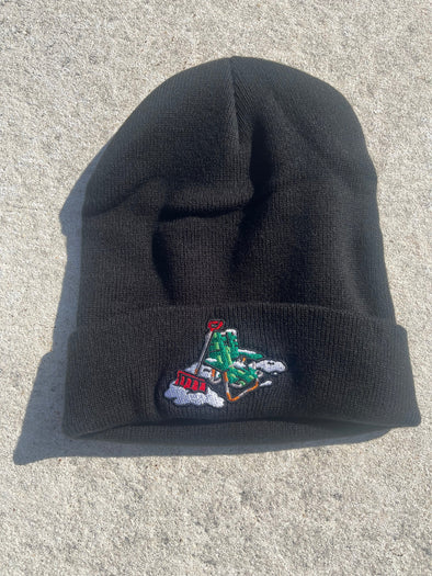 Lehigh Valley IronPigs Space Savers Knit Hat
