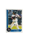 2025 Jupiter Hammerheads Team Set