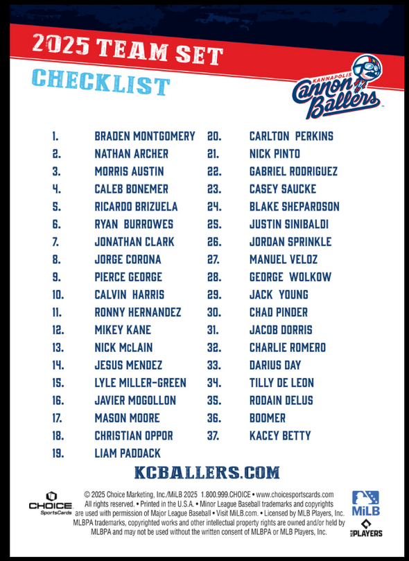 2025 Player Card Team Set
