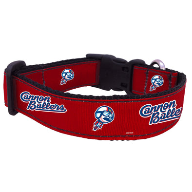 2024 Kannapolis Cannon Ballers Dog Collar