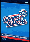 2025 Player Card Team Set