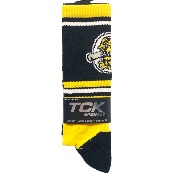 Charleston RiverDogs Logo Socks