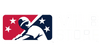 Minor League Baseball Official Store