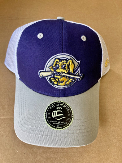 Charleston RiverDogs OC Navy and Gray Mesh Cap