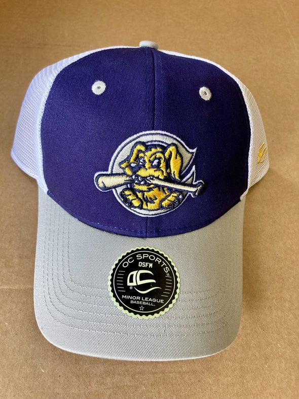 Charleston RiverDogs OC Navy and Gray Mesh Cap