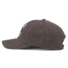 Charlotte Knights American Needle New Raglan Skyline Cap