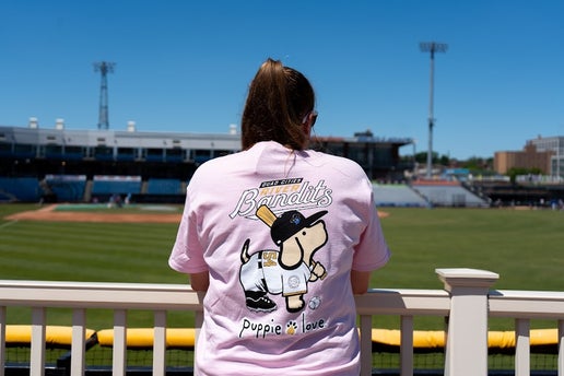 Puppie Love Bandits Baseball Tee-Pink