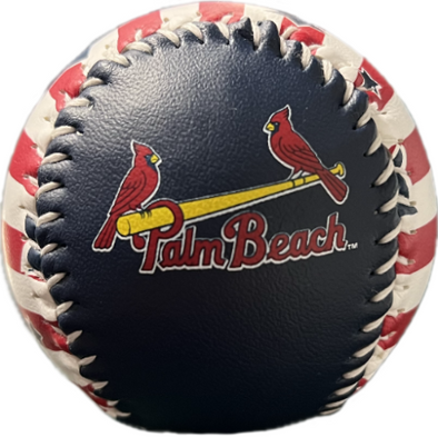 PBC USA LOGO BALL