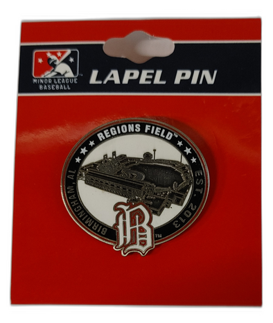 Regions Field Stadium Pin