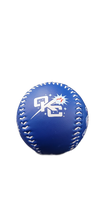 OKC Comets Multi Logo Domestic Ball