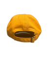 Chicken Dancers Dad Cap