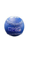 OKC Comets Multi Logo Domestic Ball