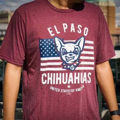 CHIHUAHUAS DOG HEAD FLAG TEE-GOTEEZ