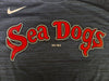 Portland Sea Dogs Nike Legend Velocity Tee